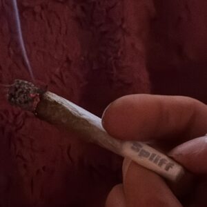 Klantbeoordeling Minibud Premium met foto - Spliff