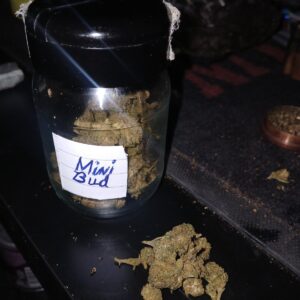 Klantbeoordeling Minibud Premium met foto - Spliff