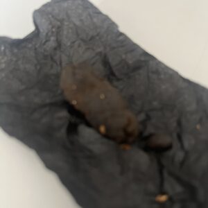 Klantbeoordeling Nepalees met foto - Spliff