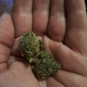 Klantbeoordeling Orange Bud met foto - Spliff