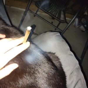 Klantbeoordeling Voorgerolde THCX joint - Jack Herer met foto - Spliff