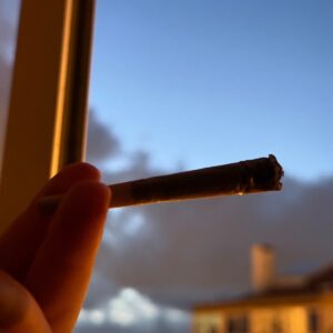 Klantbeoordeling Voorgerolde THCX joint - Zkittlez met foto - Spliff
