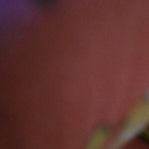 Klantbeoordeling Voorgerolde THCX joint - Royal Hash met foto - Spliff