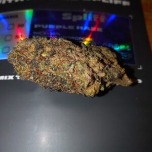 Klantbeoordeling Purple Haze met foto - Spliff