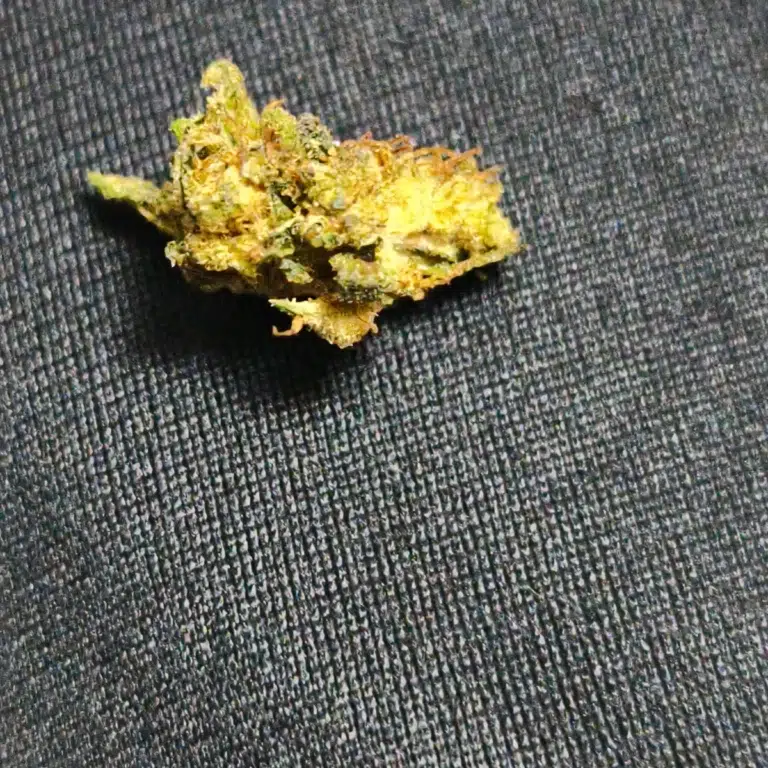 Kundenbewertung Sapphire mit Foto - Spliff