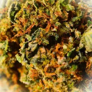 Klantbeoordeling Sapphire met foto - Spliff
