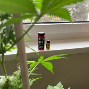 Klantbeoordeling THC-siroop - Magic Potion met foto - Spliff