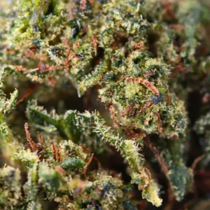 Klantbeoordeling Sour Diesel met foto - Spliff