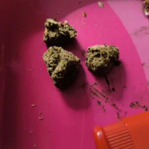 Klantbeoordeling Sour Diesel met foto - Spliff